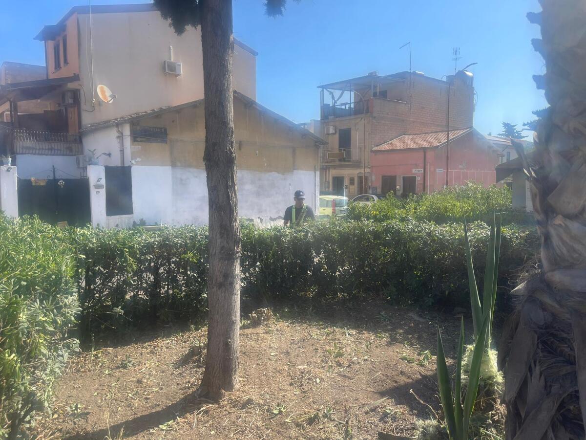 Impianti ha avviato la pulizia di Settefarine -
