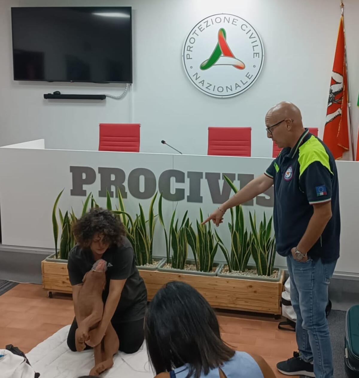 A lezione di Pronto Soccorso veterinario - 