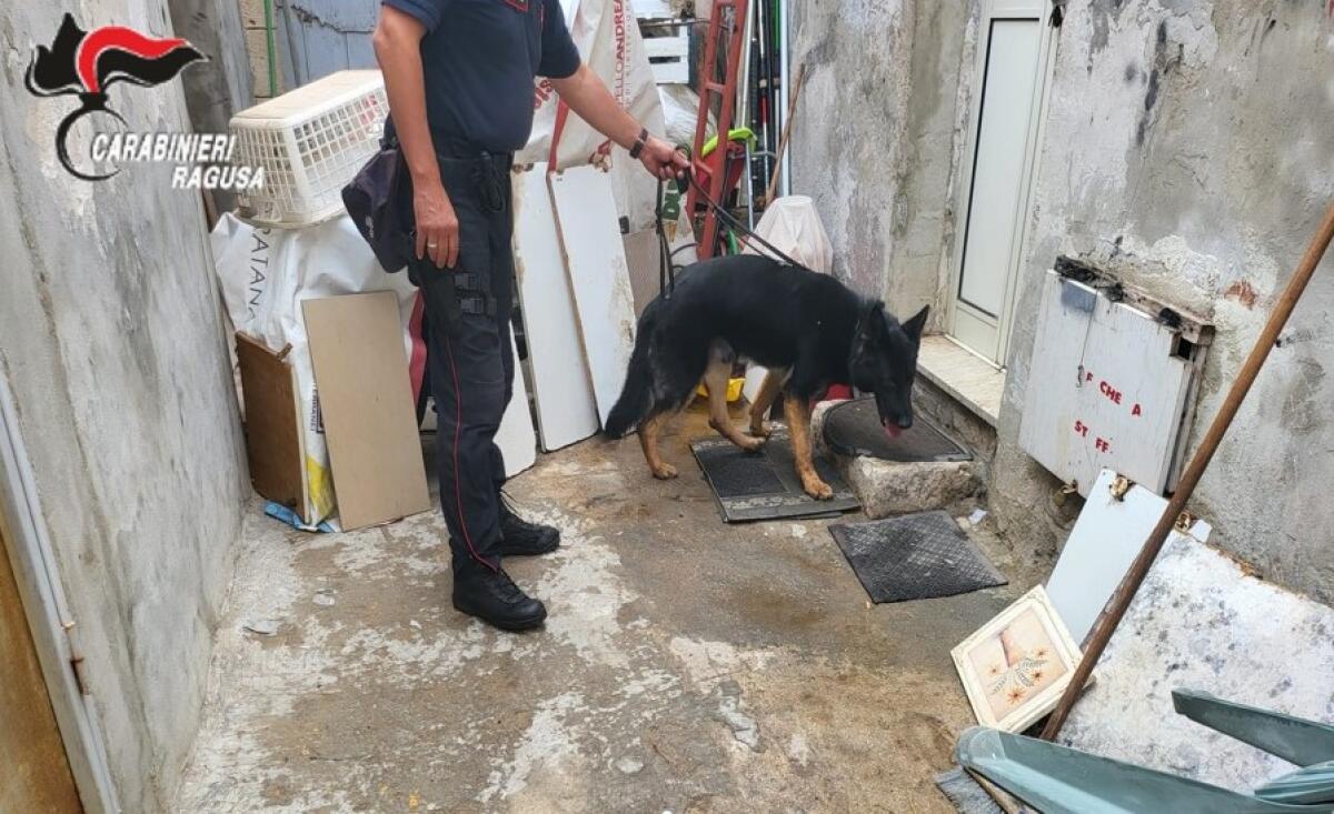 Due giovani denunciati per spaccio -