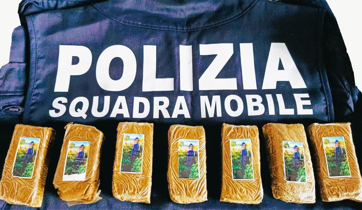 I cani fiutano la droga, nisseno in manette - 