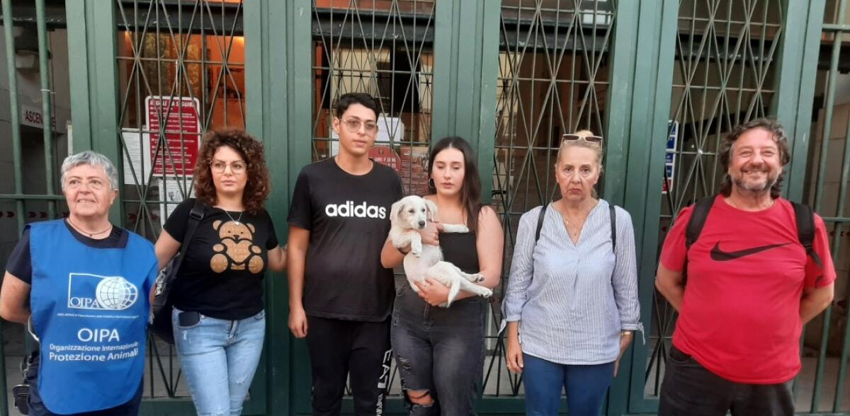 Le associazioni animaliste denunciano le istituzioni - 