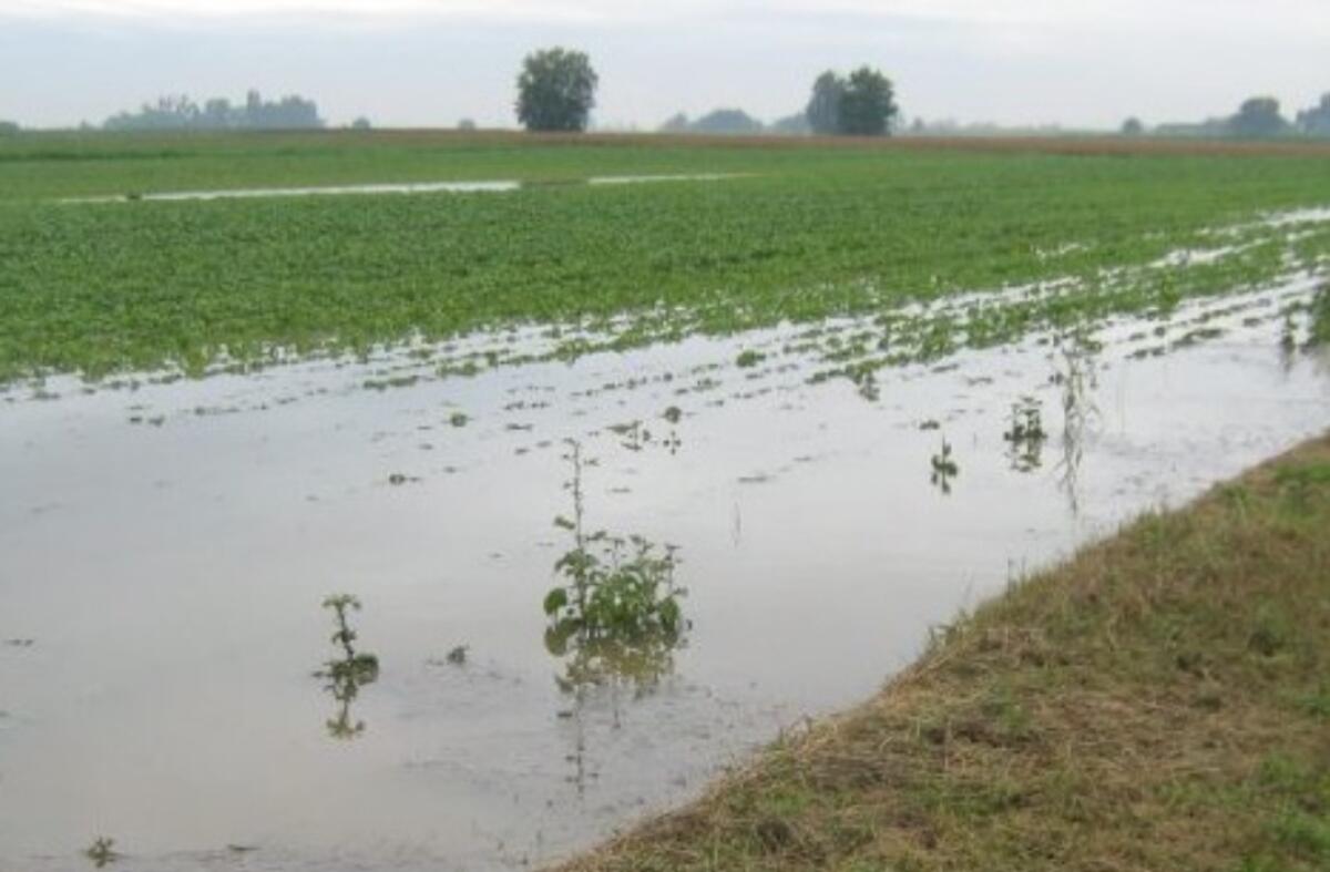 La Protezione civile ha pubblicato i decreti attuativi sui ristori per le alluvioni -