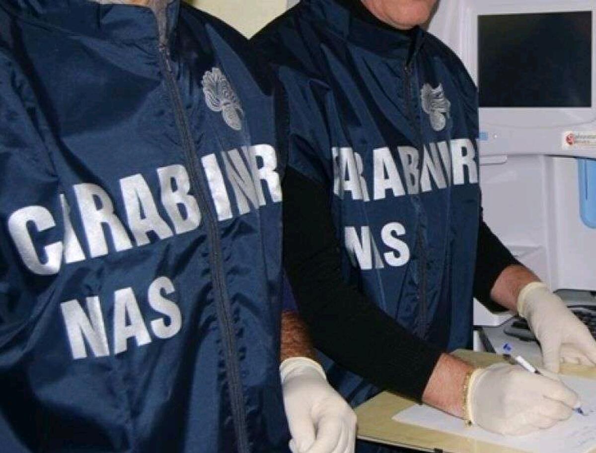 I Carabinieri sequestrano oltre 7 mila chili di conserve in un’azienda non autorizzata - 