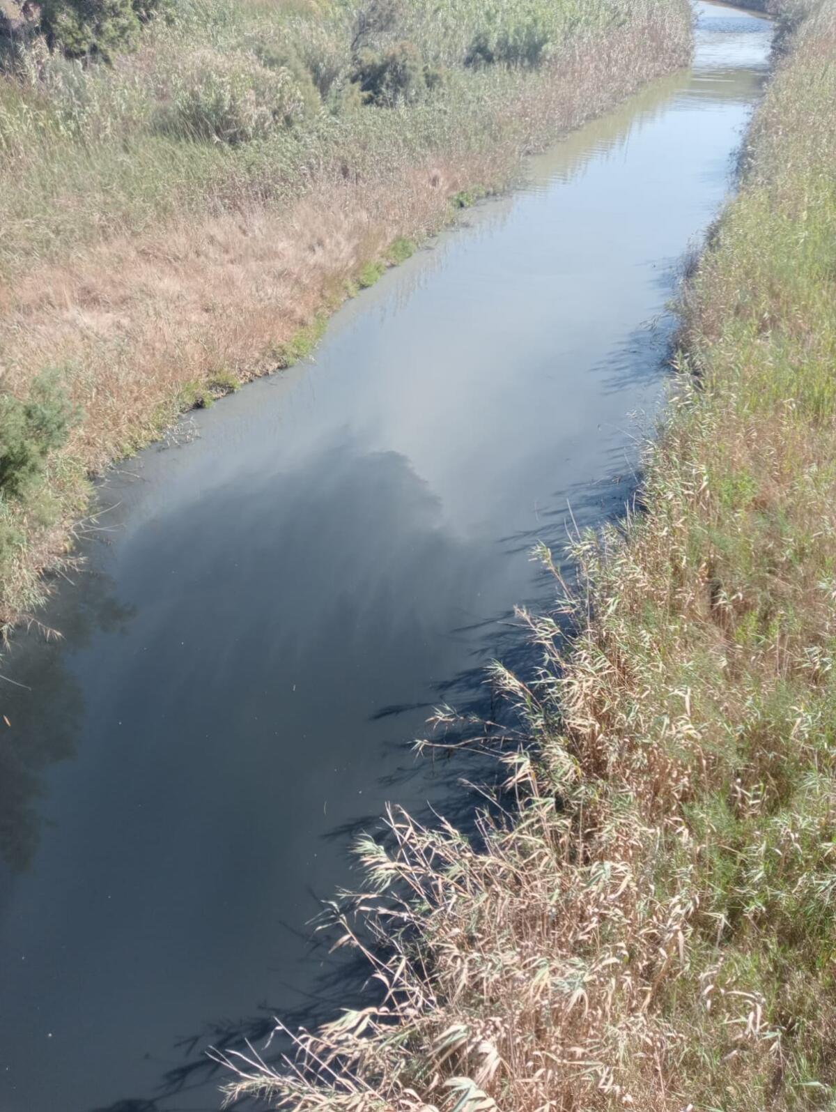 Gran Sicilia chiede chiarezza sull&#8217; inquinamento del fiume Gela - 