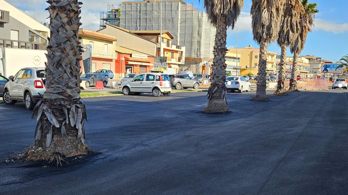 Asfalto pure sugli alberi - 