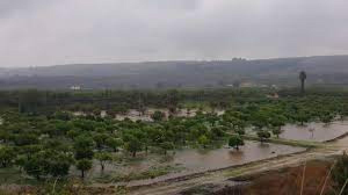 Filbi Uila:raccolta di firme per modificare la riforma dei Consorzi di bonifica - 