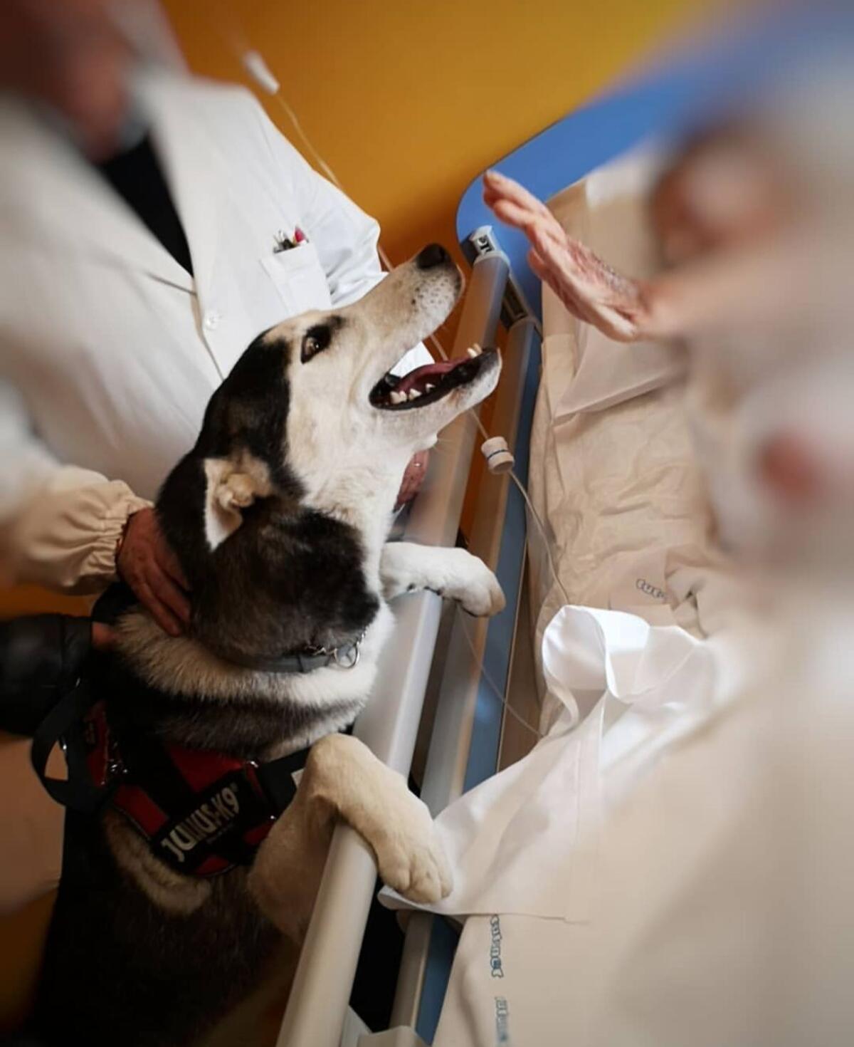 Torna in ospedale ‘Teniamoci per la zampa’ - 