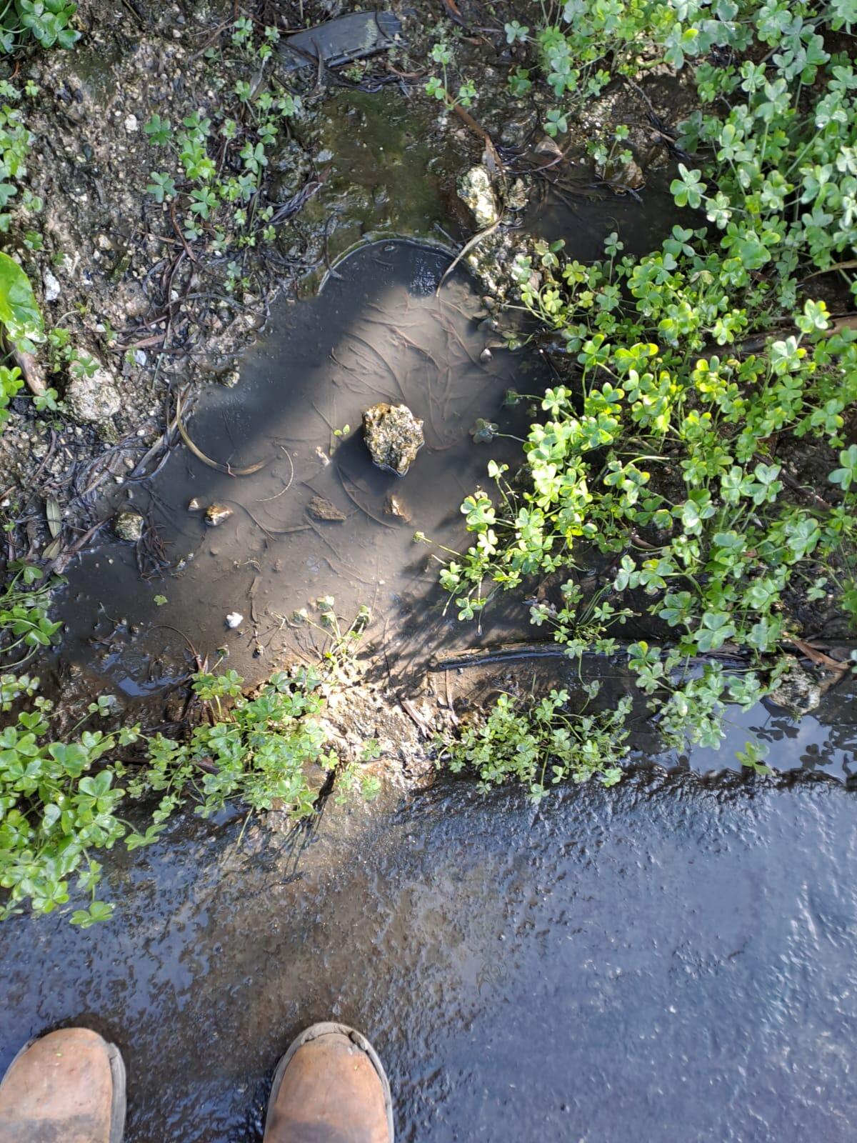 Tubazione fognaria rotta nei pressi del fiume Gela - 