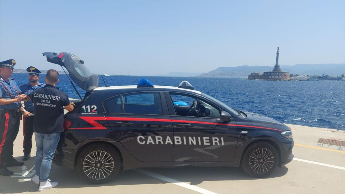 Truffa per contributi, sequestrati beni ad imprenditore agricolo -