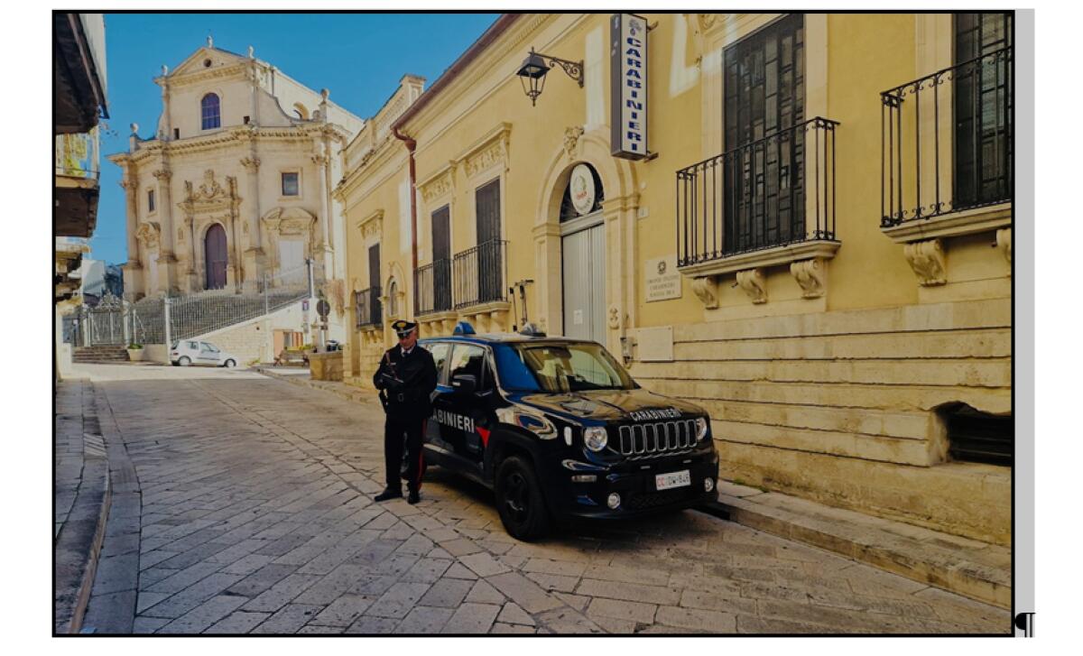 I Carabinieri contro i reati predatori - 