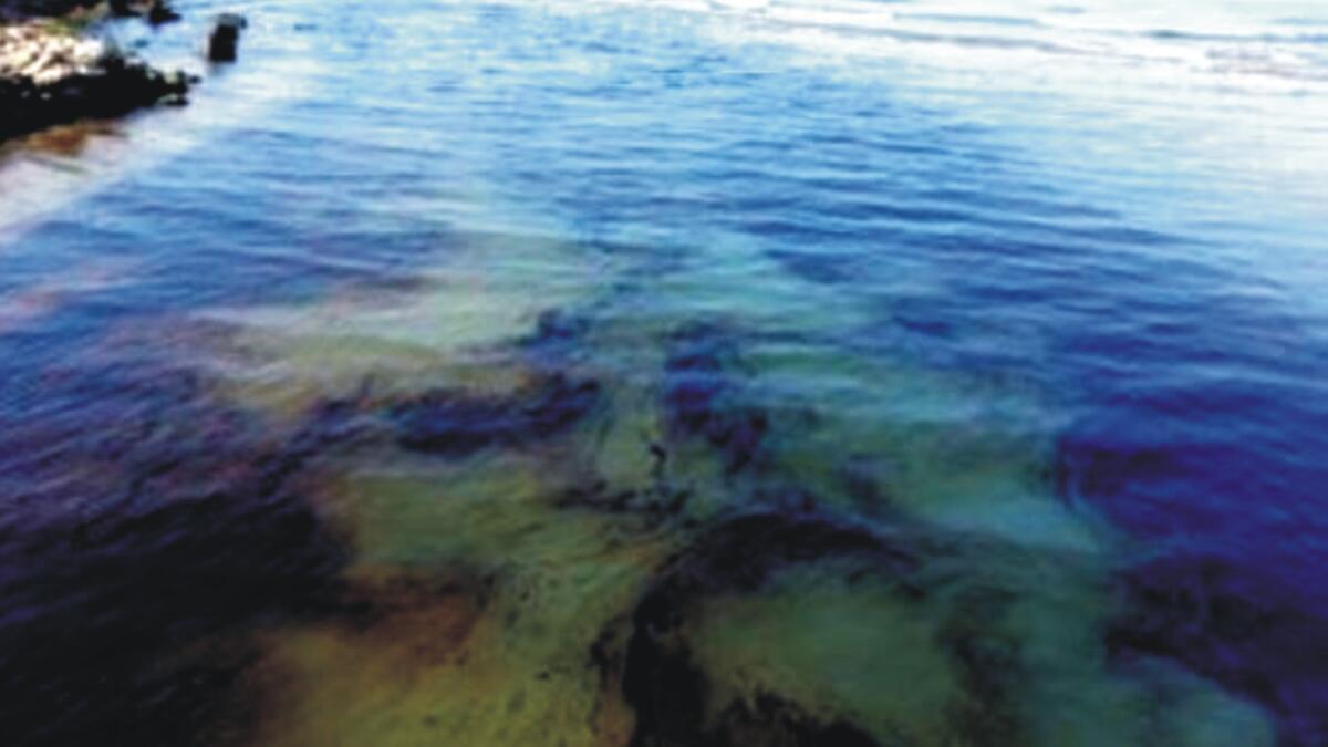 Gran Sicilia: “sull’inquinamento del fiume Gela non si sa nulla” -