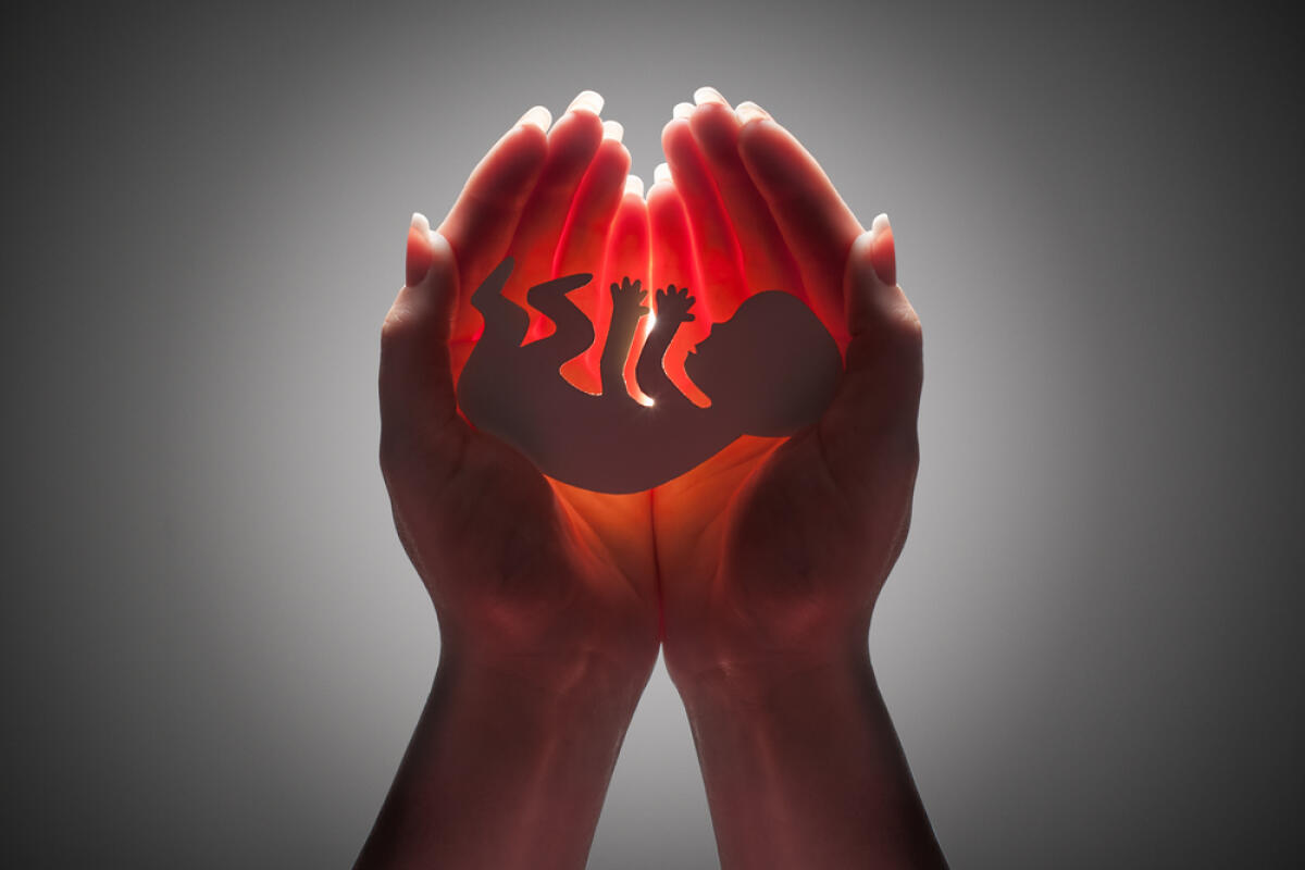 Il PdF contro il ‘diritto all’aborto’ - embryo silhouette in woman hand