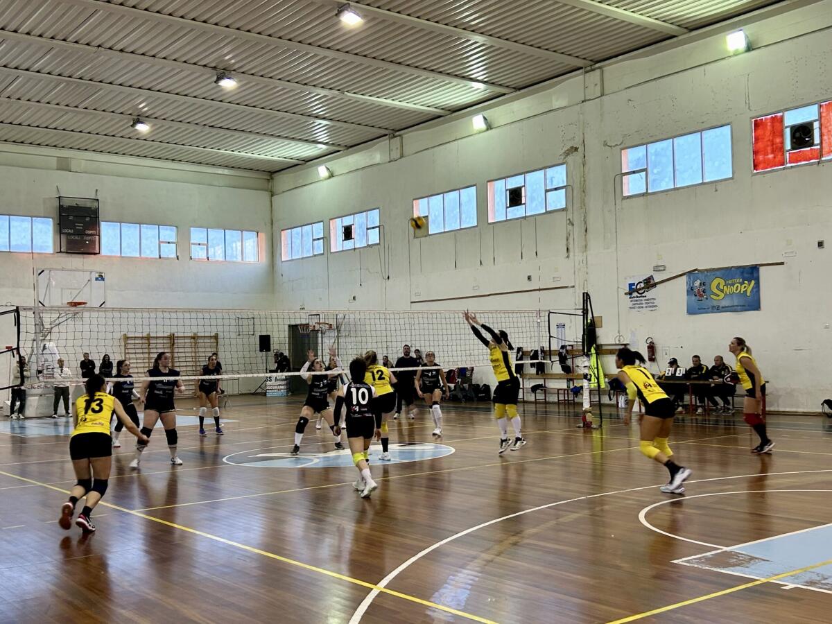 Nuova Città di Gela, domenica al PalaItis contro il Gravina la sfida che può valere la Serie C - 