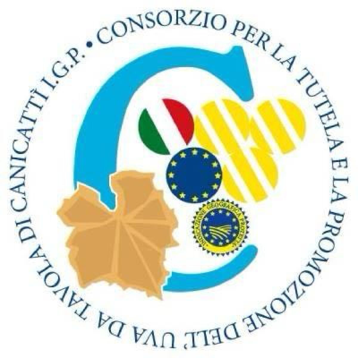 “Uva da tavola, cambiamenti e sinergie”: evento domenica 7 al teatro sociale di Canicattì -