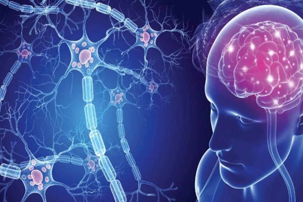 Sclerosi multipla, in italia 1 diagnosi ogni 3 ore. Più a rischio giovani e donne - 