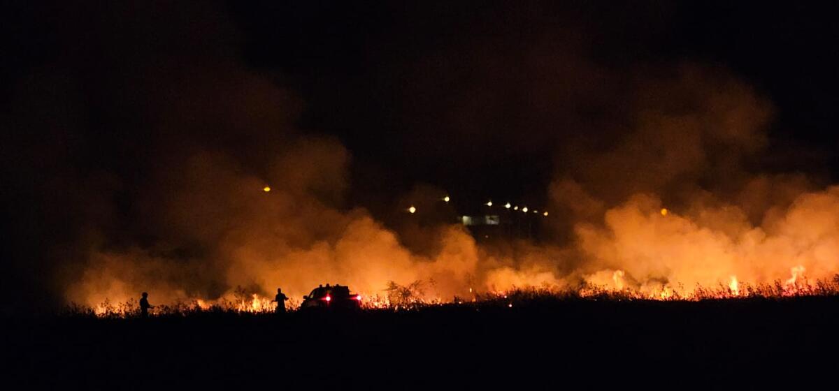 Incendio nella zona del PalaCossiga -