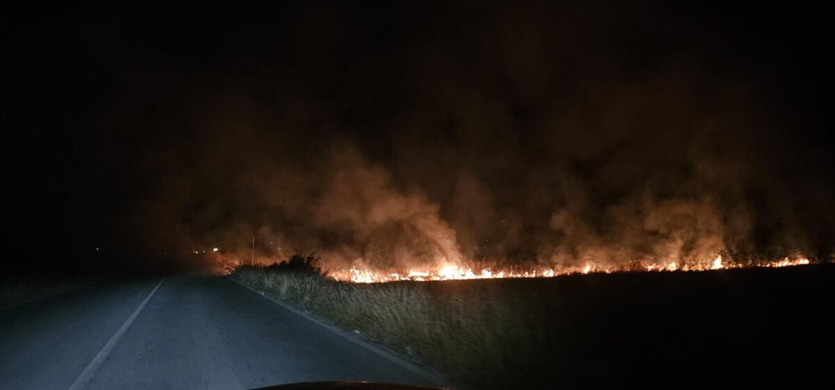 Vasto incendio sulla Sp8, visibilità ridotta -