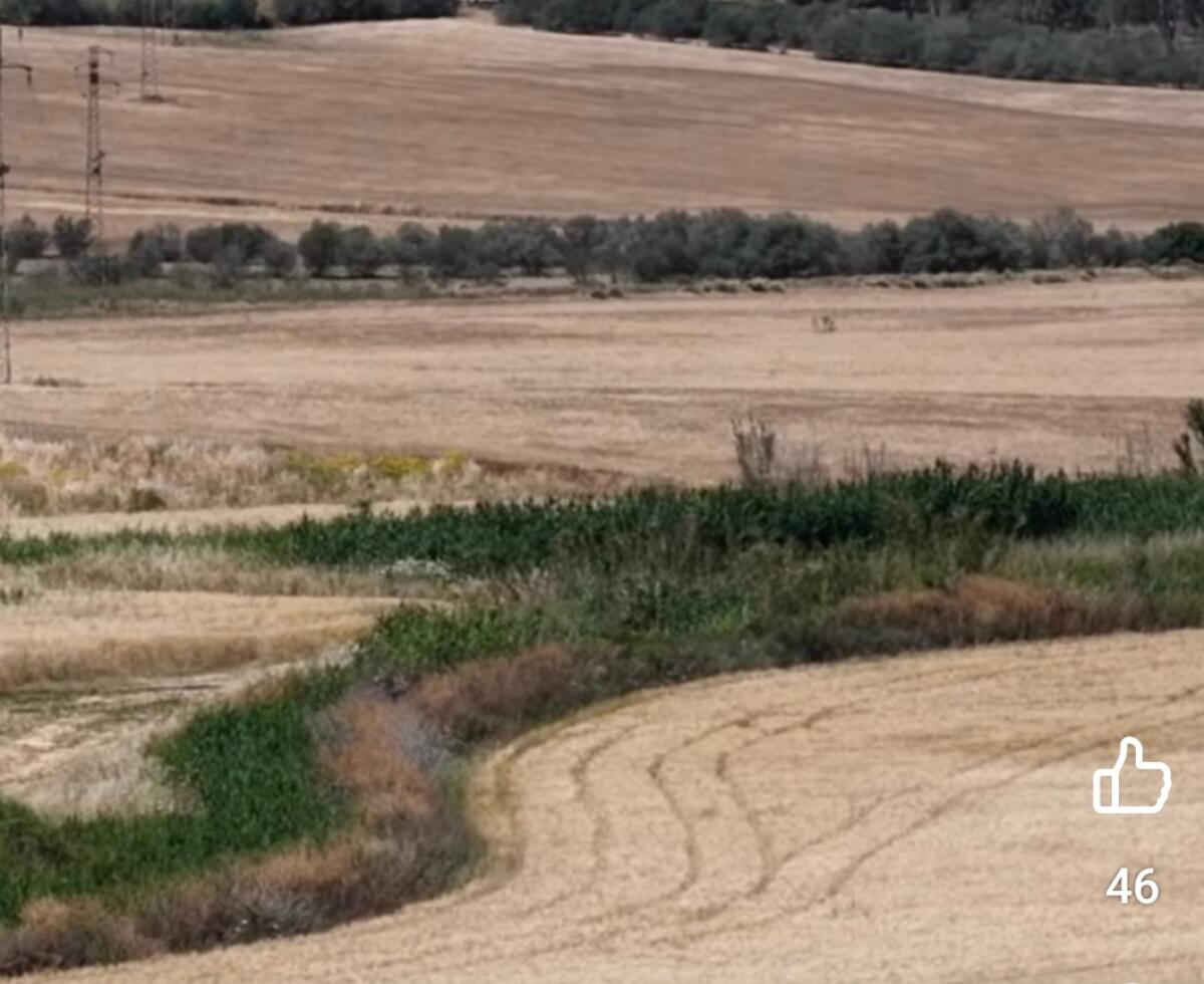 Tragedia sfiorata durante l’evento Cicogna day -