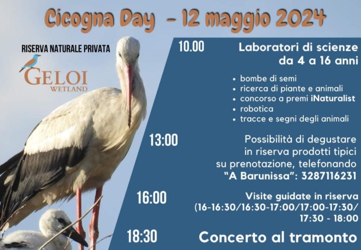 Il ‘Cicogna Day’ si terrà il 12 maggio - 