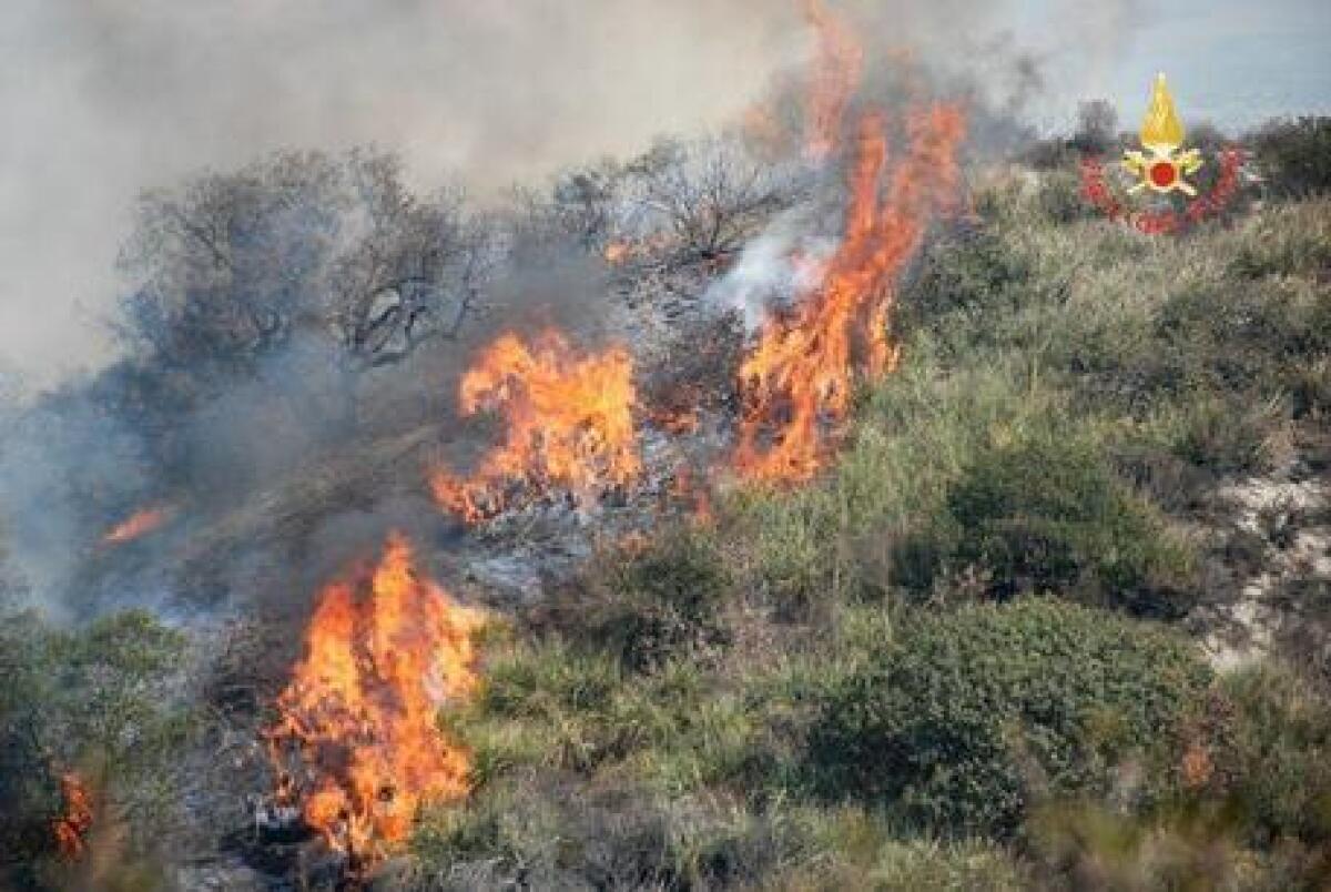 Incendi: la Regione potenzia le dotazioni di personale - Incendio di sterpaglie e macchia mediterranea a Girifalco