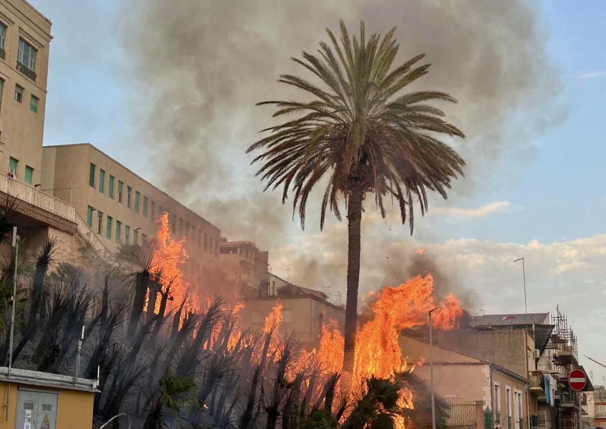 L’incendio al belvedere: “Gesto meschino che offende tutta la comunità” - 