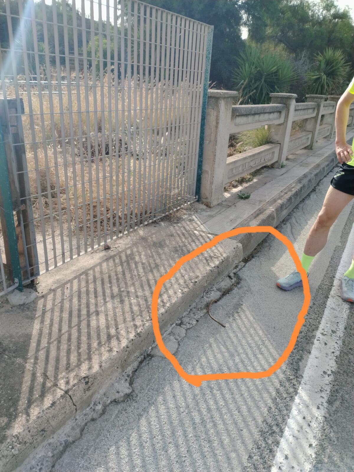 Tondino in ferro fuoriesce dal manto stradale e atleta finisce in ospedale - 