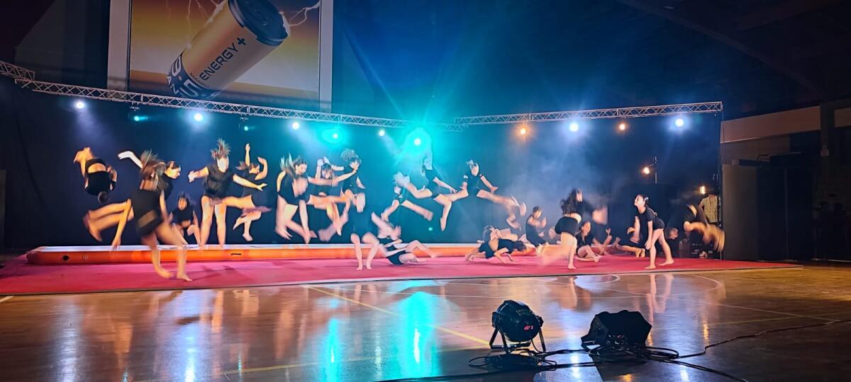 La ginnastica fa spettacolo - 