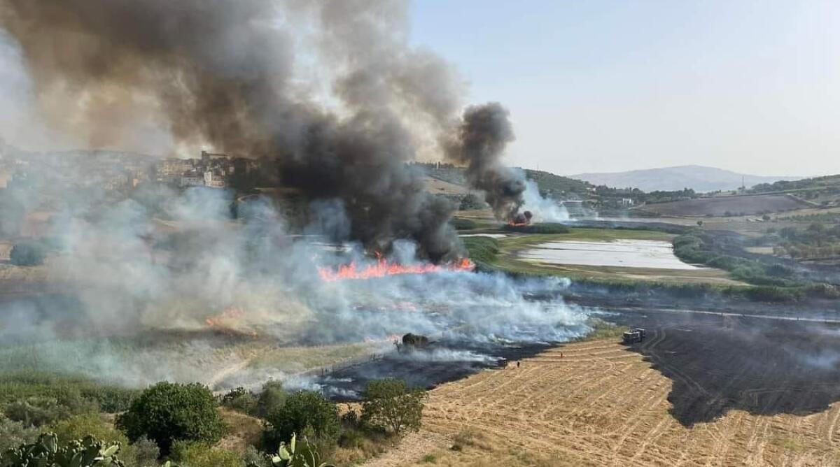 La Riserva Naturale Lago Soprano sempre a fuoco - 