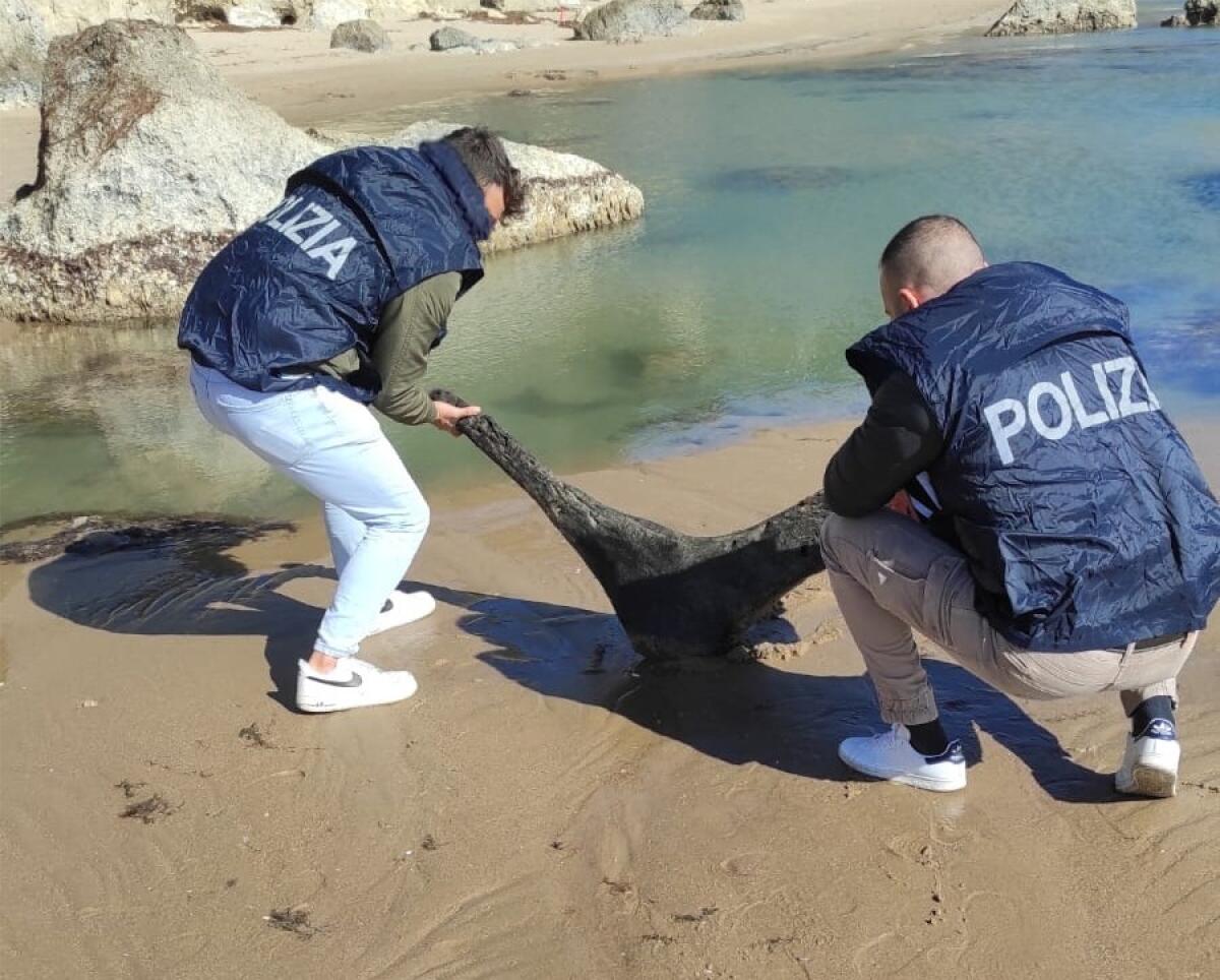 Sulla spiaggia trovato un legno che potrebbe essere di un relitto antico - 