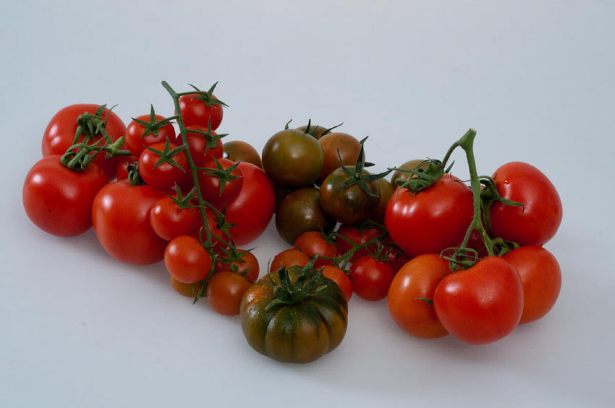 Un educational tour per il pomodoro di Pachino - 