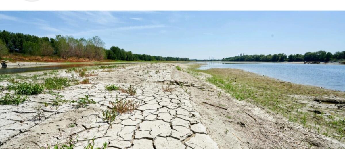 Legacoop chiede misure per le aziende agricole e zootecniche colpite dalla siccità - 