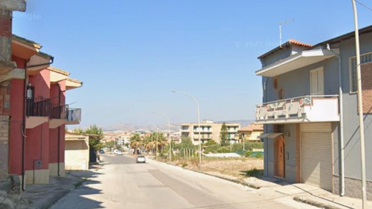 Invasione di grossi topi in contrada Olivastro - 