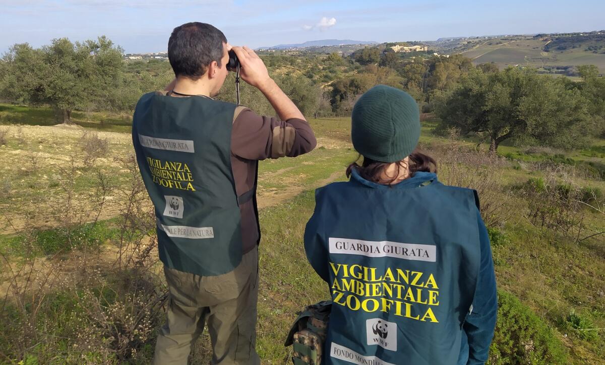 Il Tar annulla la revoca del decreto di Guardia volontaria del coordinatore Wwf -