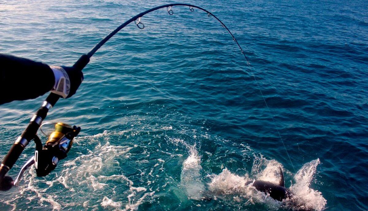 Emergenza siccità, vietata la pesca nelle acque interne del territorio - 
