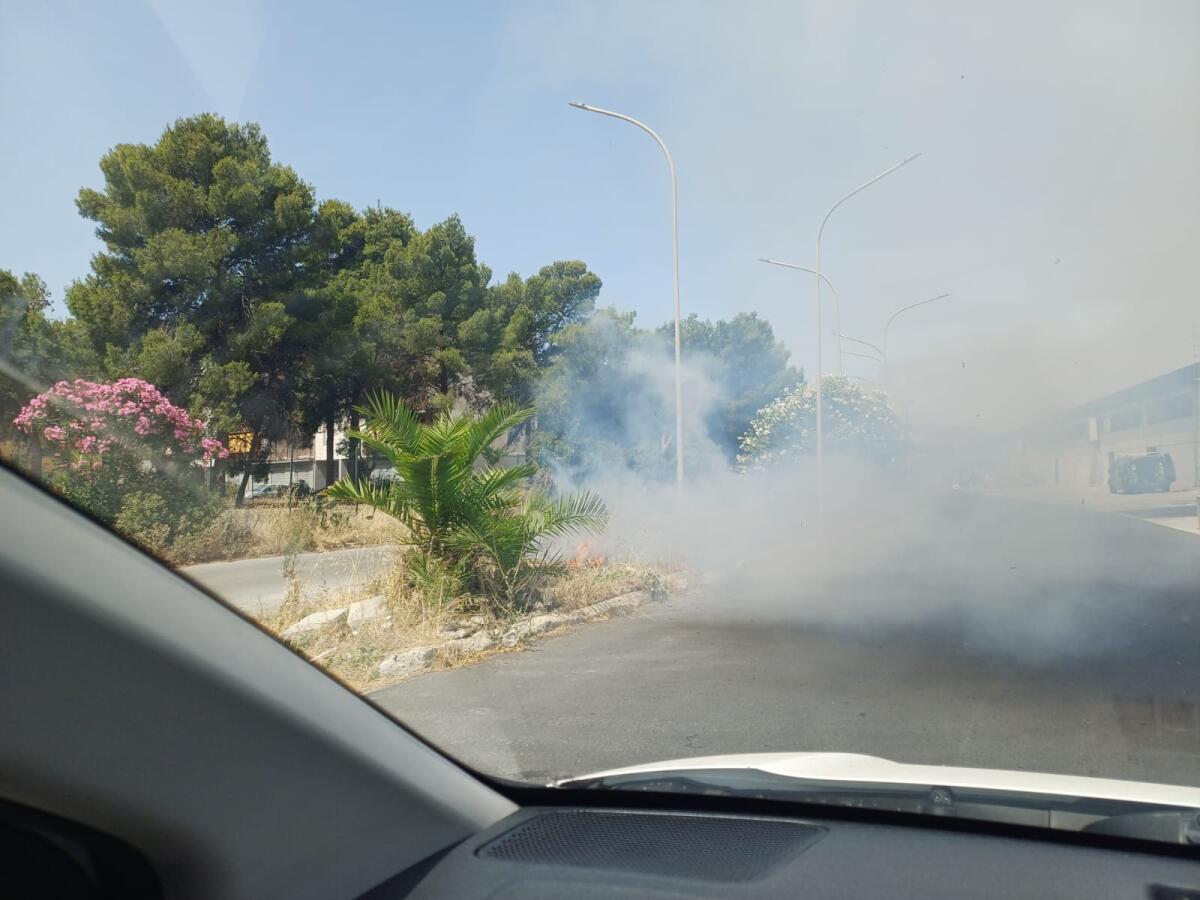 Incendio alle sterpaglie di aiuola spartitraffico a Macchitella -