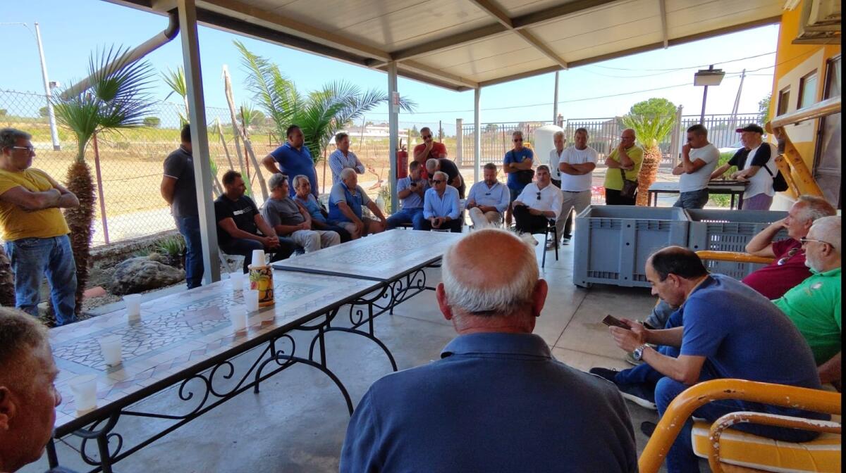 Nubifragio dell&#8217;8 agosto l&#8217;on.Scuvera incontra gli agricoltori di Butera, Riesi e Mazzarino - 