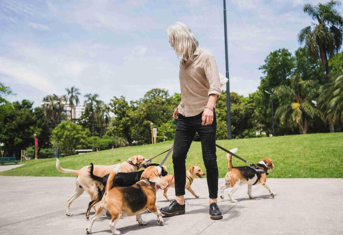 Anche in Sicilia riconosciuta la figura del pet sitter - 