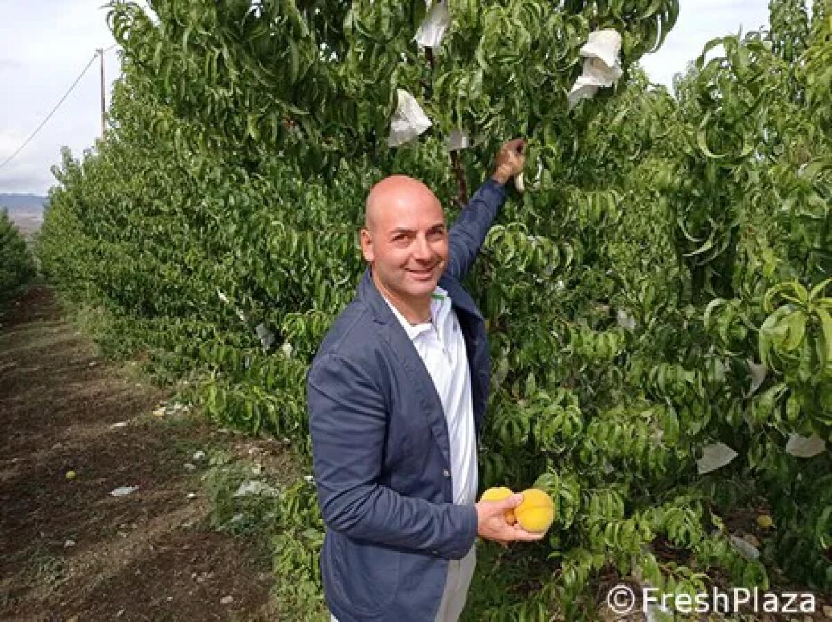 Domenico Di Stefano riconfermato presidente del Consorzio Tutela Pesca di Leonforte -