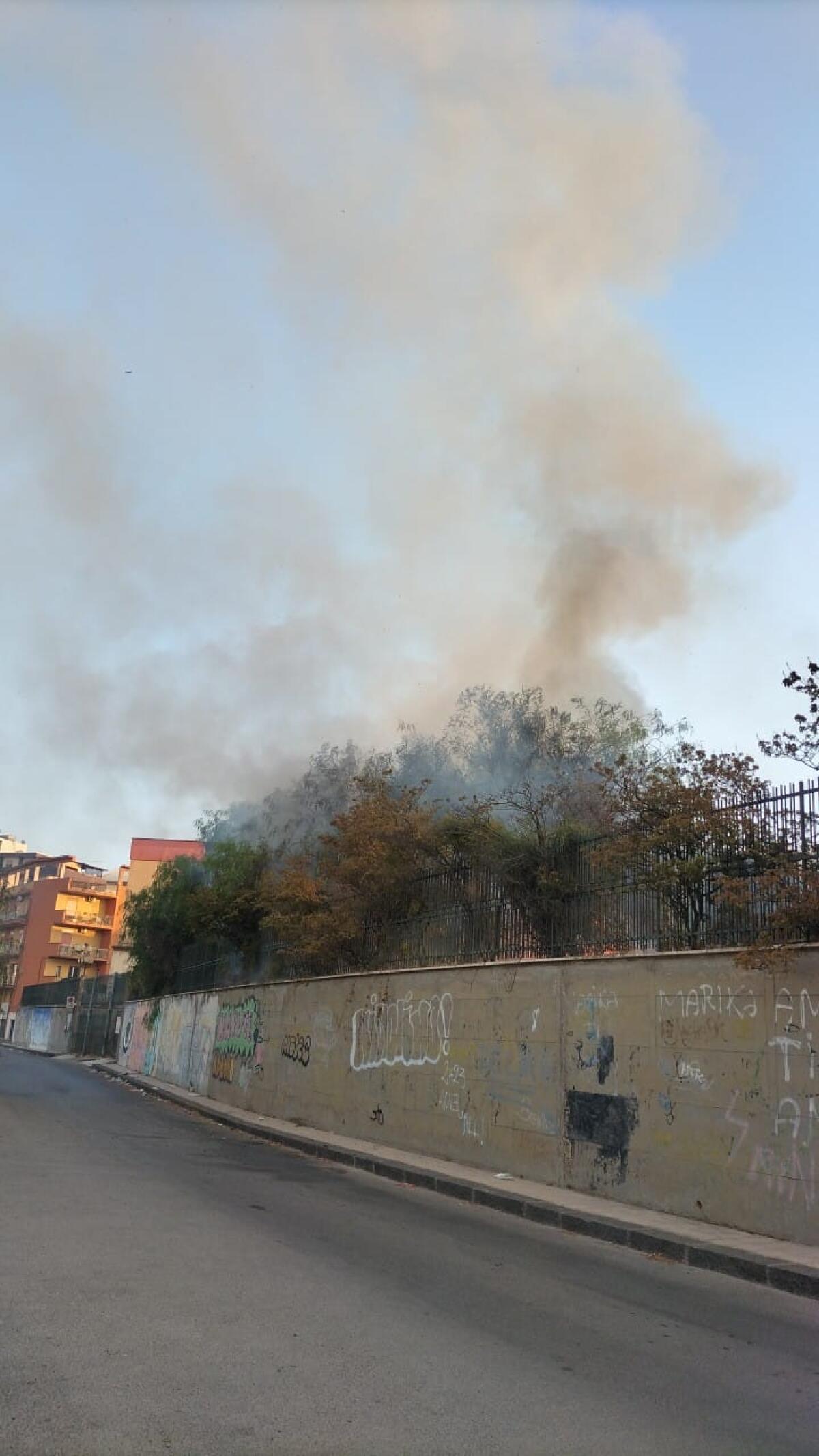 Fiamme nella vegetazione degli istituti di Piano Notaro - 