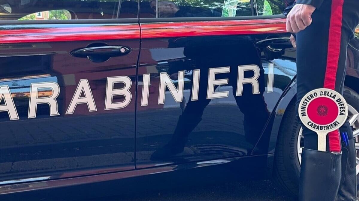 Entra nel terreno di un generale dei Carabinieri e lo aggredisce; l&#8217;ufficiale spara per difendersi - 