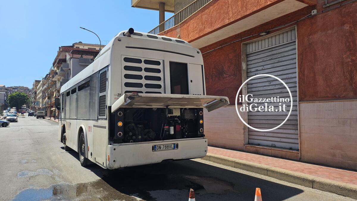 Quel povero vecchio autobus, si ferma per strada… - 