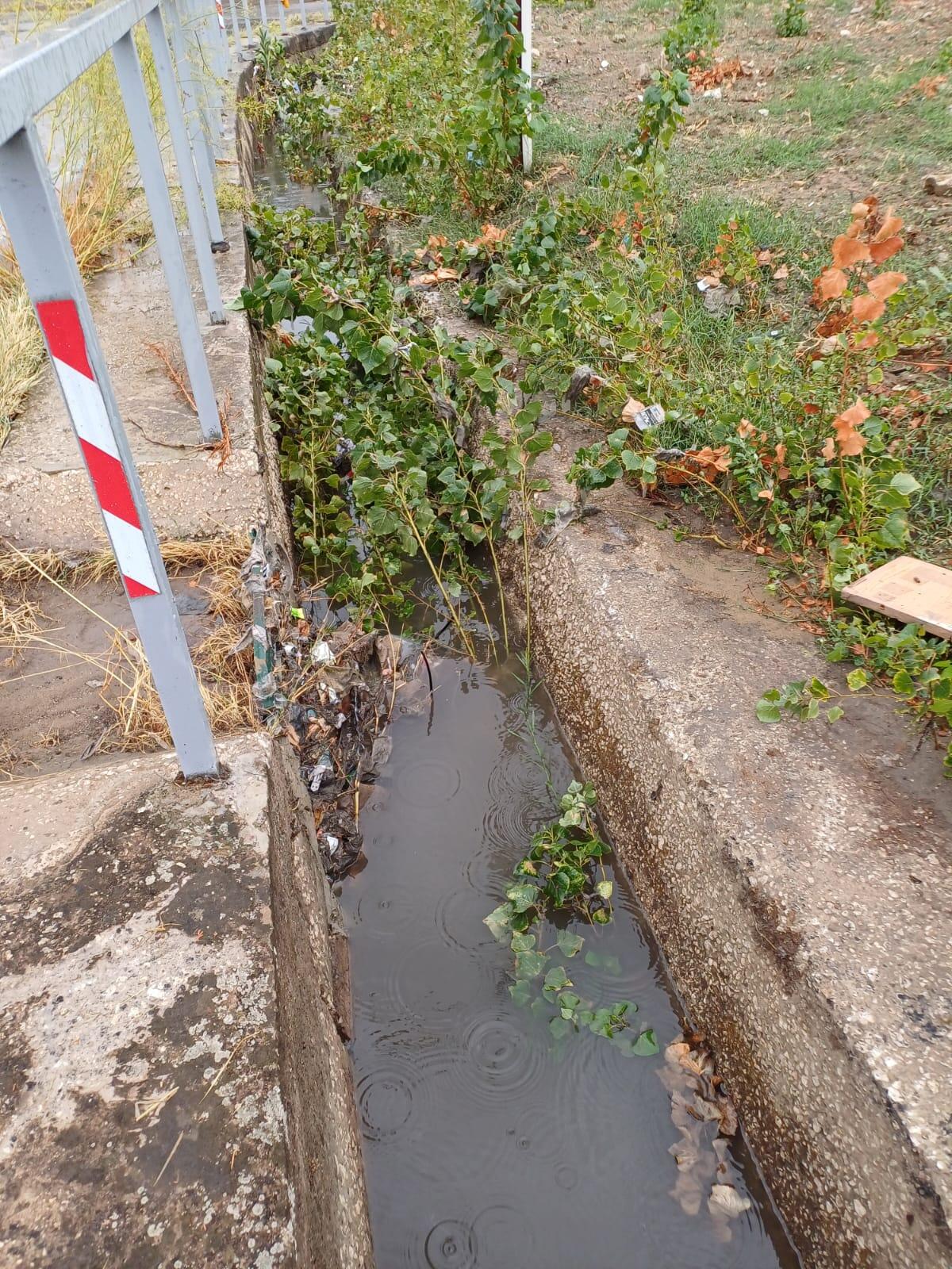 Pioggia desiderata e mezza città allagata - 