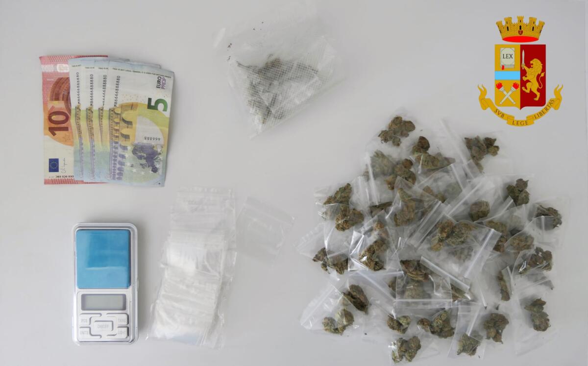 Coltivava marijuana a casa: arrestato -