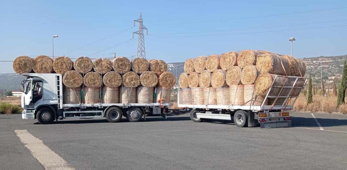 Bonus fieno al terminal bus di Betlemme -