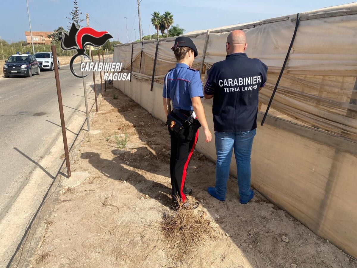 Imprenditore agricolo denunciato dai Carabinieri del N.I.L - 