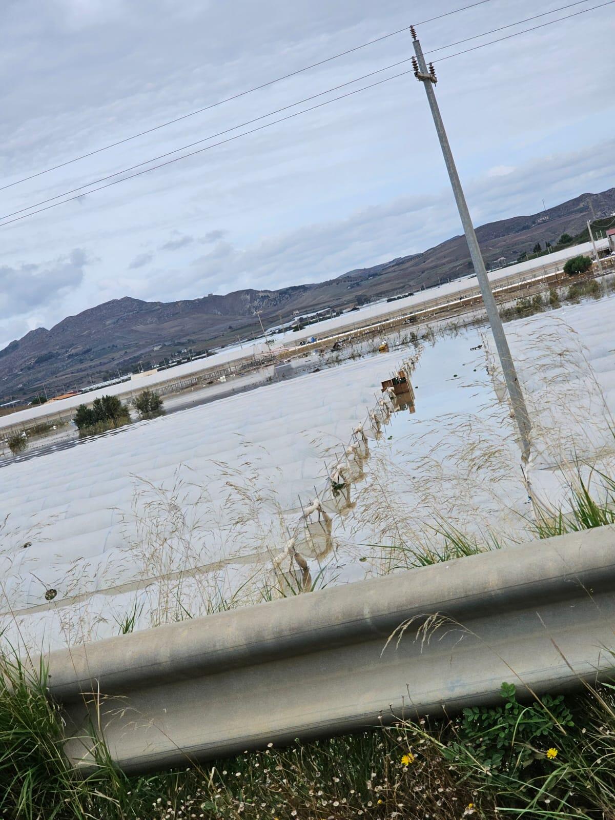 Dalla Siccità all’Alluvione: Annalisa Tardino invoca prevenzione e visione a lungo termine -