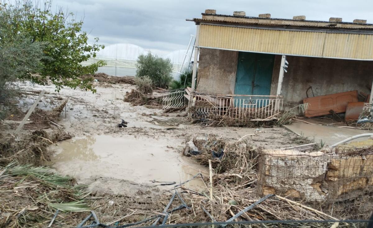 L&#8217;Assessore Barbagallo fa il punto sulla situazione di Butera e Licata - 