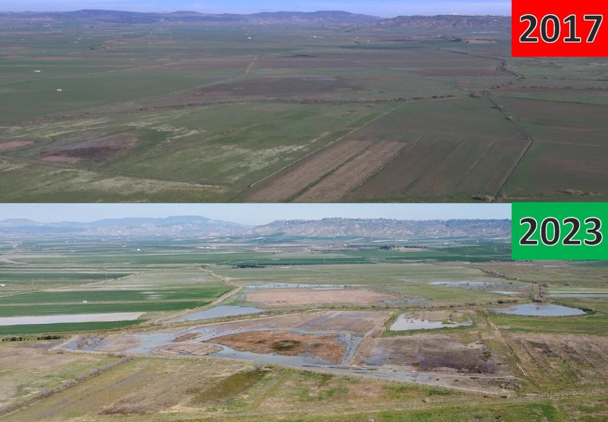La riserva Geloi Wetland diventa &#8220;Fondo chiuso&#8221;,in 150 ettari è vietata la caccia - 