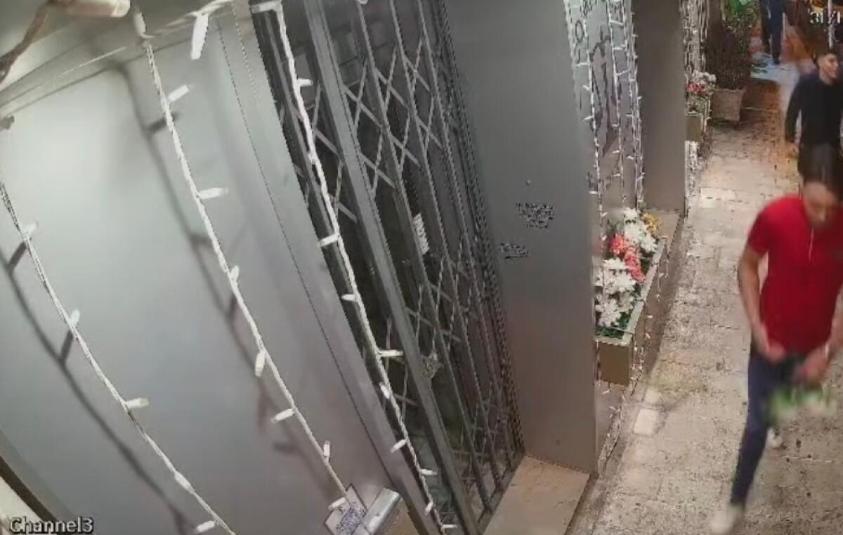 Fiori e piante rubati o vandalizzati: esasperato un commerciante pubblica video sui social -
