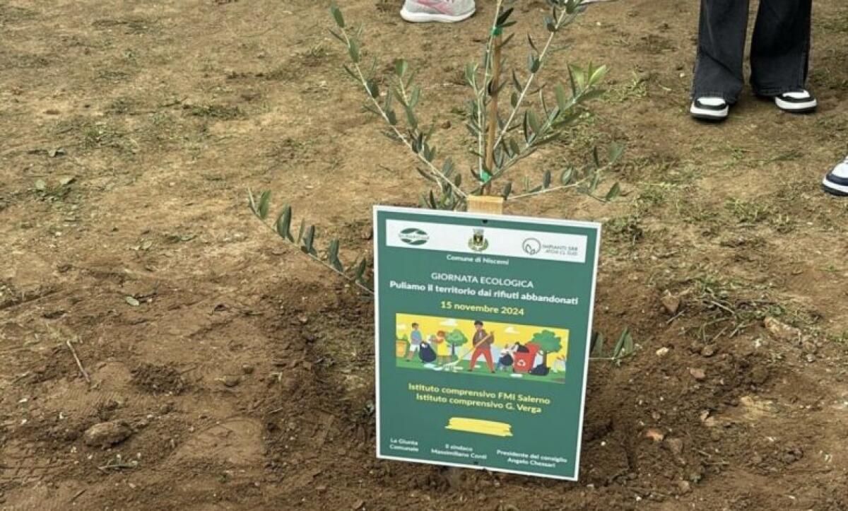 Successo per la giornata ecologica di Niscemi - 